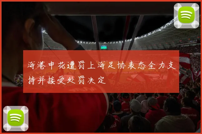 海港申花遭罚上海足协表态全力支持并接受处罚决定